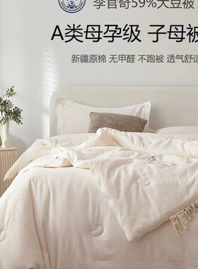 母婴级59%A类大豆纤维高端全棉春秋被加厚冬被被芯二合一双胎字母