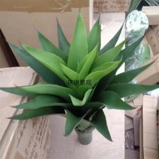 仿真剑舌盆栽龙兰剑麻假绿植园1688艺工程景造景摆设庭兰观院装饰