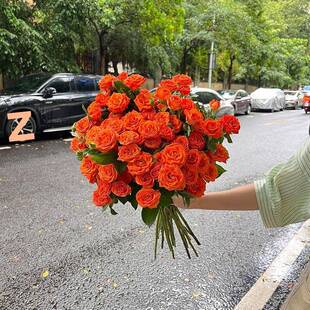 多头玫瑰花鲜花季插夏花便宜鲜切花折观射家居装饰厂家直供直赏云