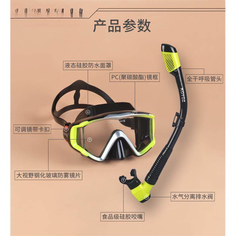 浮潜镜BD100726三宝干套装潜水全式呼吸管防雾近视罩护鼻面水肺游