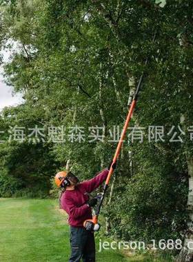 EHO爱可6PPT220ES伸缩式C高枝锯高空修-枝GVS汽油锯