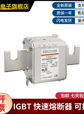 PUC73UD13C315D1A-A230GXD30564PC73D13C315EF-V0068熔断丝