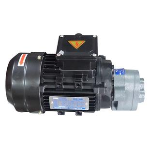 工厂直销CBB170/B6/CBB齿轮油泵电机组0.3/055LNW.KW4(油泵带耳)