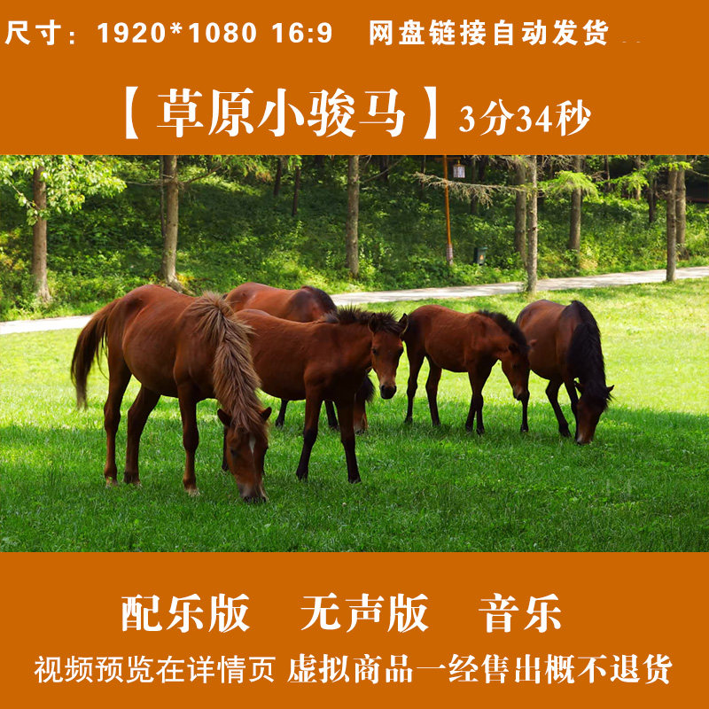 草原小骏马 大草原蒙古包马少儿民族舞蹈LED大屏舞台背景视频素材