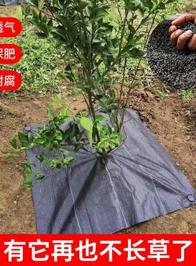 全新除布农地用布果树盖草布草布黑色透水园林除草DSY草pp编织地