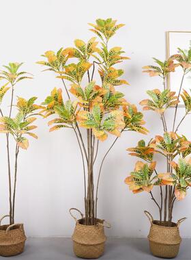 大型手仿真QH-55045植物变色木叶感酒店装饰盆景摆真件仿绿植洒金