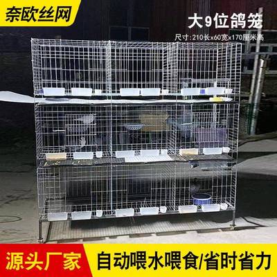 鸽子笼用繁殖配FTI鸽笼养殖对专家用鸽肉子笼加粗大尺寸元宝鸽子