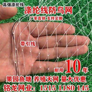 高强涤纶防鸟网果园鱼塘尼龙复丝葡萄草莓大棚边网牛蛙锦鲤养殖网