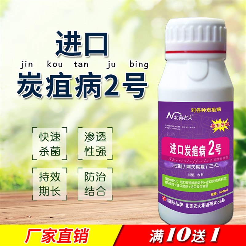 进口炭疽病特效2号杀菌剂 辣椒黄瓜番茄西瓜葡萄草莓炭疽病专用药