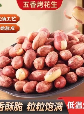 五香黄芪党参烤花生低温烘焙炒口感酥脆留香下酒解馋山东花生W86