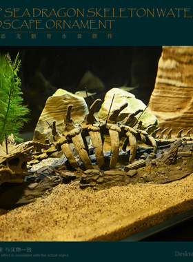 鱼缸摆件 水族造景 龙骨水景摆件 小比例 (长 230mm) LTCP-521