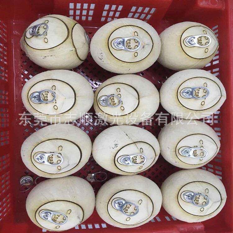 工厂销售椰子易拉环激光雕刻机激光椰子切割机椰皇打孔机