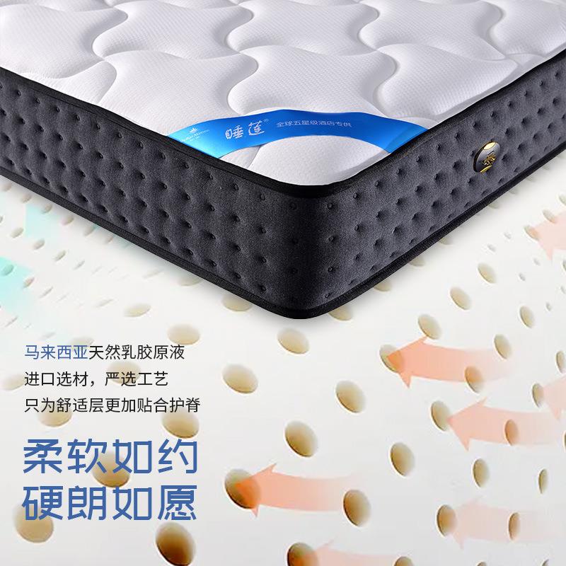 进口乳胶垫软硬中适加厚垫家FXJ用榻榻米床护脊记忆眠弹软簧双人