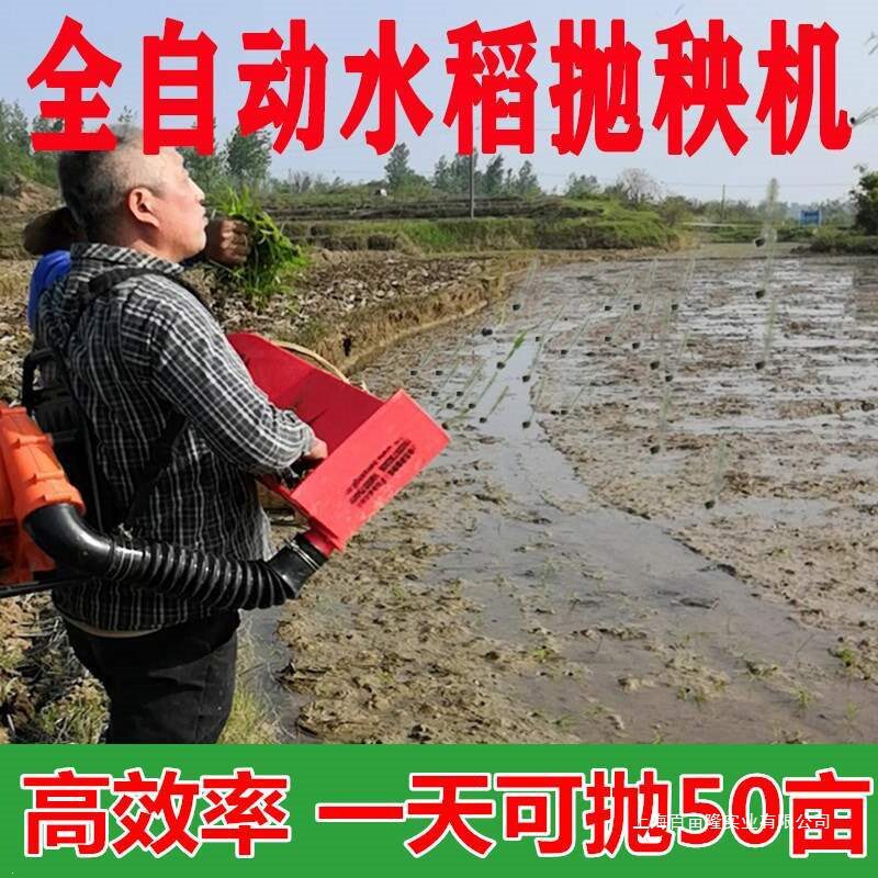 电动水稻抛秧机抛秧抛秧盘农村农用用小型水稻插秧机全自动