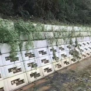 鱼巢植草道式 生鱼态砌模板巢植草护坡水块利河植NLQ草护坡模具