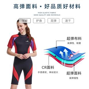 美女士潜水服袖短裤连体冬QSF37泳短衣冲浪服浮潜渔猎动涉水欧运