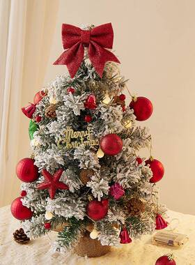 新款圣诞树摆件di景y材料圣诞树桌包桌你面小迷白色饰圣诞节装品