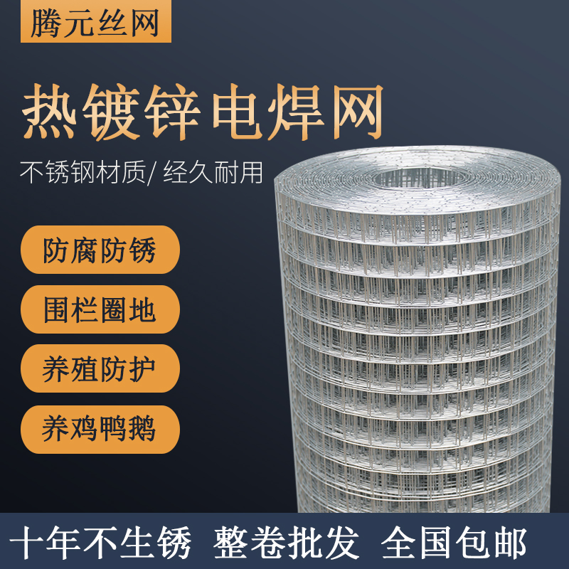 热镀锌铁丝网网格养殖围栏电焊网网片整卷小孔钢丝网防护网养鸡网