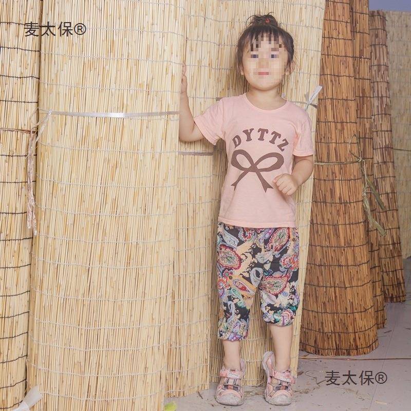 帘竹帘遮光大门帘芦苇帘子遮阳复古卷帘草帘子卷窗帘墙面装麦太保