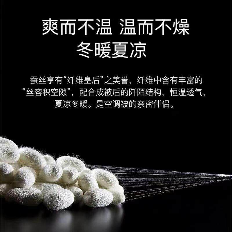 四季通用子母被天然蚕丝被春秋被桑蚕丝被子冬天加厚保暖冬被包邮