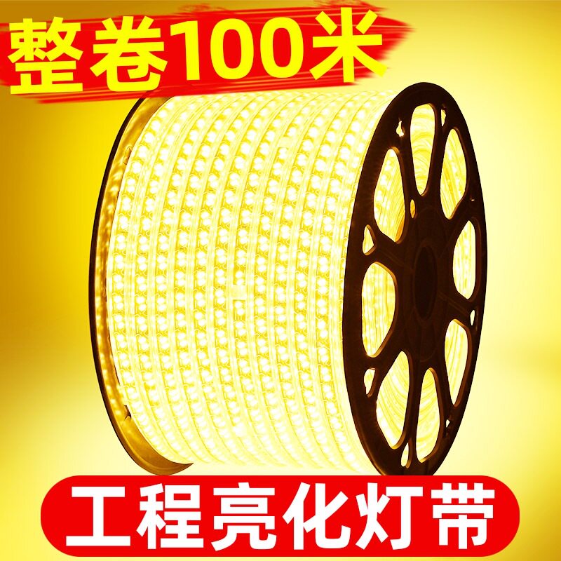 led灯带24v36v220v卷100米室外防水工程工地下室隧道养殖照明灯条