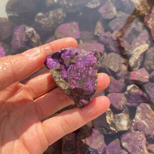 紫磷铁锰矿舒俱来矿脉原石科罗拉多州