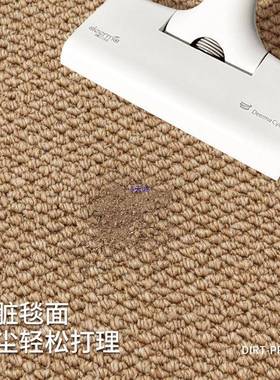 仿10032003剑麻地毯客20卧25新款奢轻免洗可擦防水简约厅茶几室地