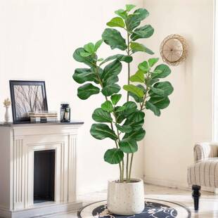 仿真植物琴叶榕地盆栽室内生型仿绿大琴叶榕植落摆件客厅轻奢装饰