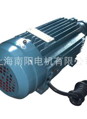 产地上海南NY2-8K03-23W380阳V磨头电机三相异步RKI电机电L动机