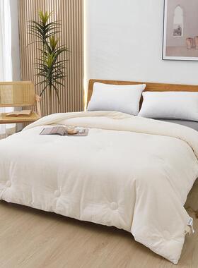 224款A类被FFO芯全棉秋提豆花大0被春被冬被水洗棉被子