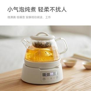 olayks立时养生壶多功能家用小型办公室玻璃煮茶壶器烧水壶花茶壶