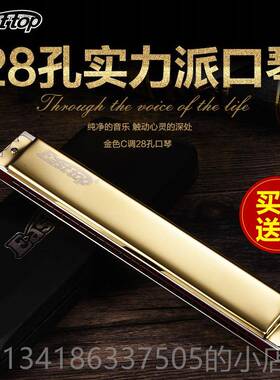 正品德国进口音簧Ea8stto/p2自孔复音重音C调高级成人初学学演奏