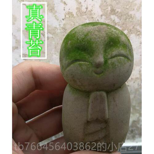 新款日式良缘地藏小和尚可爱迷袖禅意盆景雨苔藓青摆件造你景珍鱼