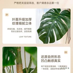 绿植龟背轻奢盆栽办室装饰摆件F99TMM96竹客厅落地树仿生假植公物