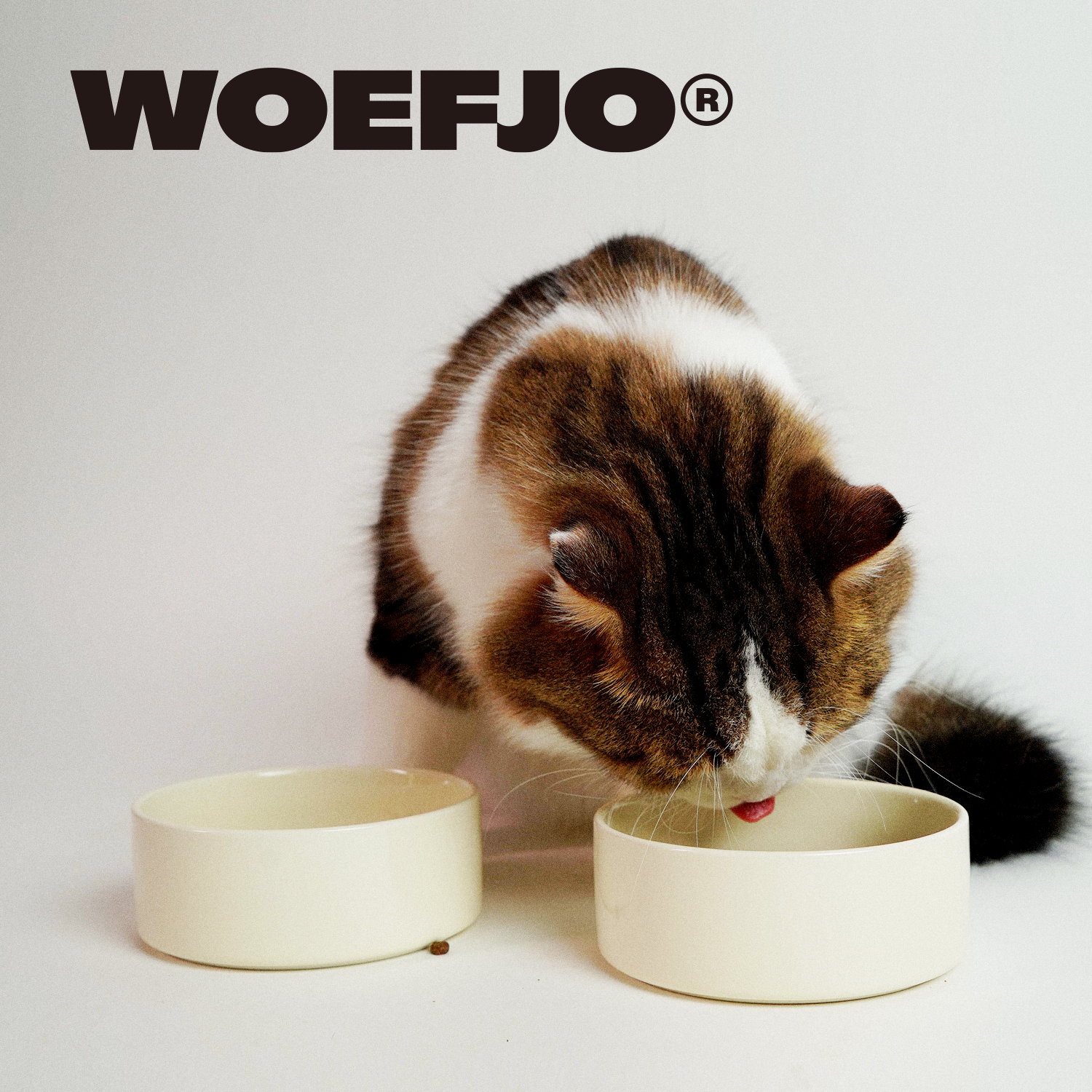 WOEFJO宠物碗猫碗狗碗陶瓷碗简约陶瓷碗防黑下巴易清洗加厚喝水碗,宠物/宠物食品及用品,猫狗碗/慢食碗,淘宝优惠券,粉丝福利购,淘宝优惠卷