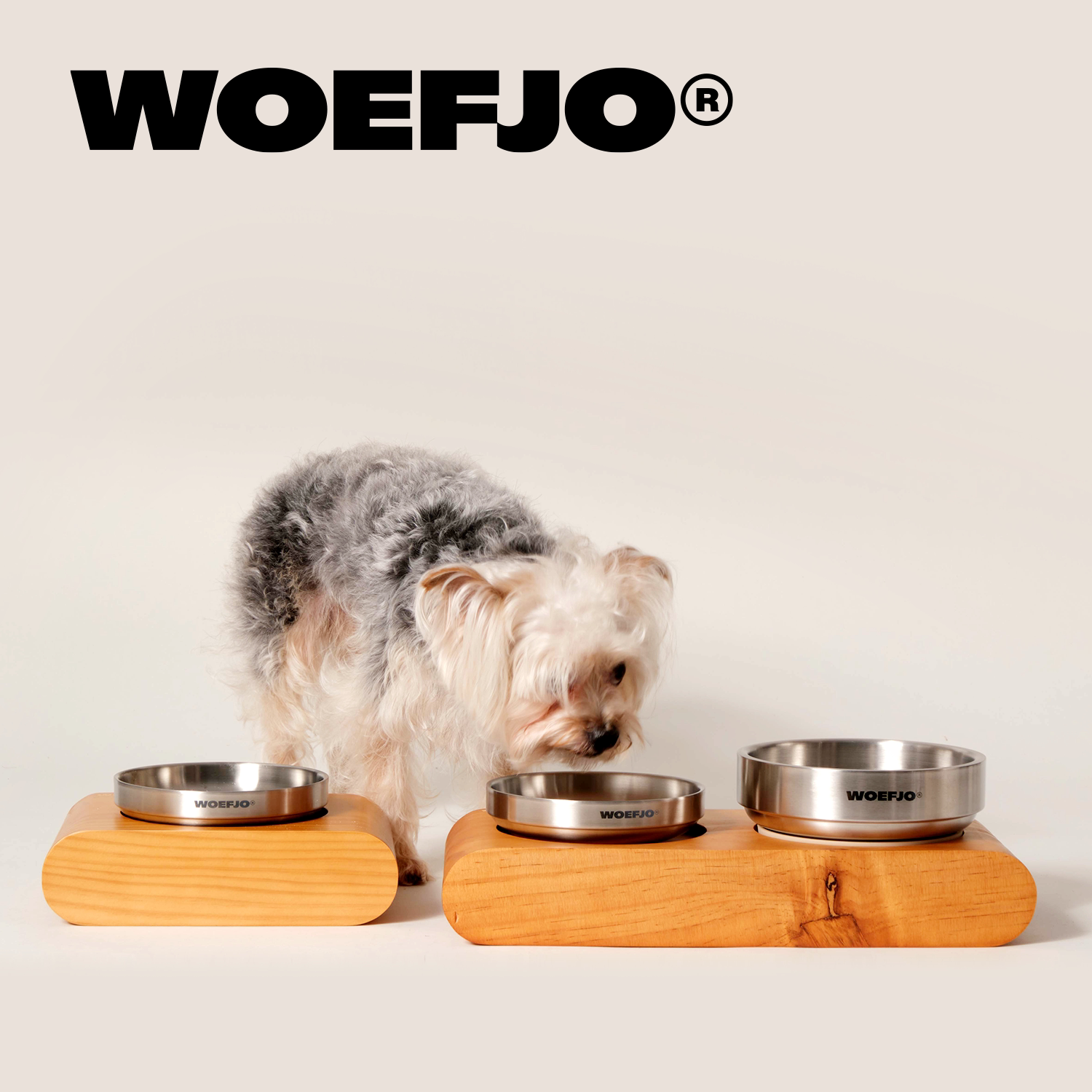 WOEFJO实木不锈钢防翻护颈猫狗碗图片