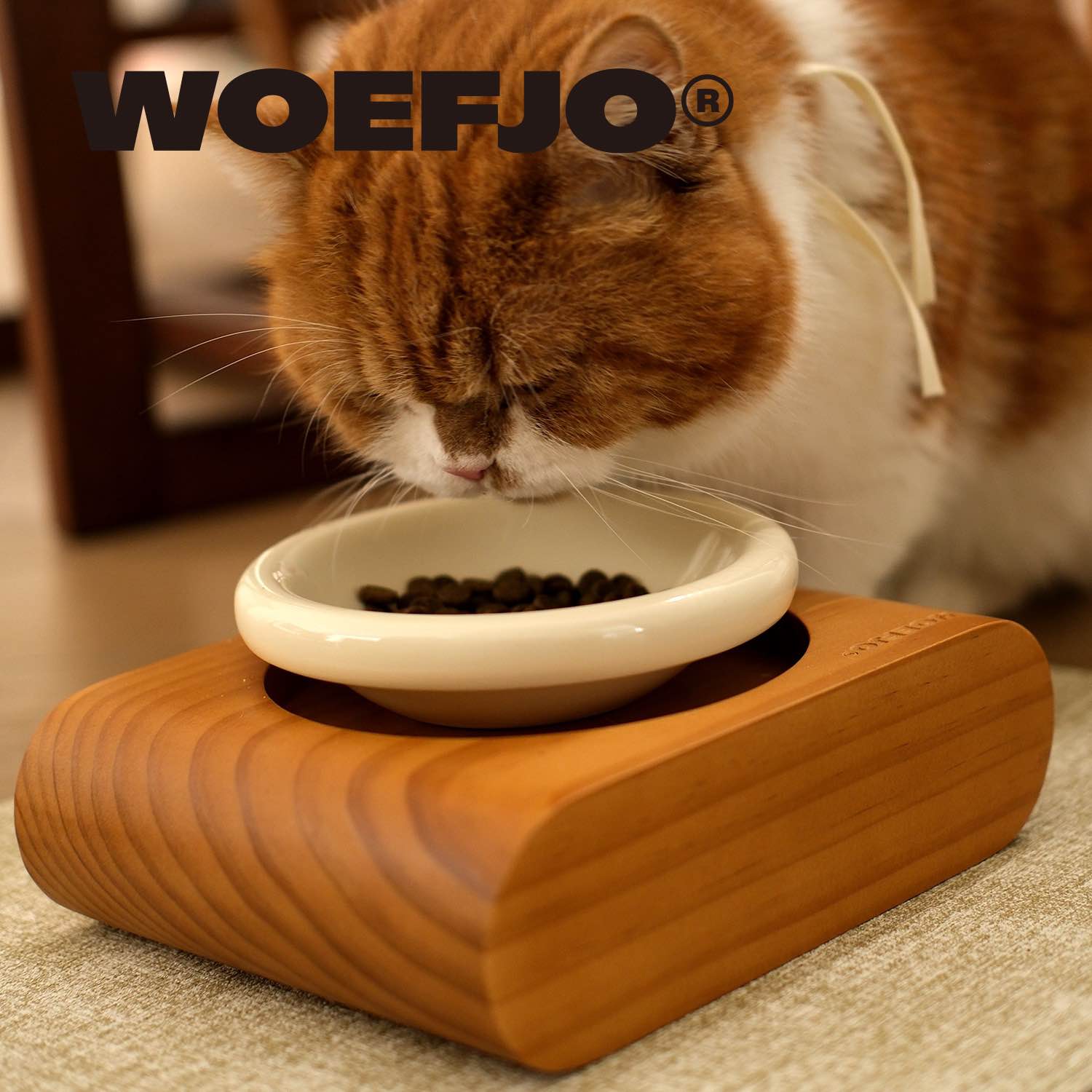 防打翻不锈钢宠物实木增高猫狗碗