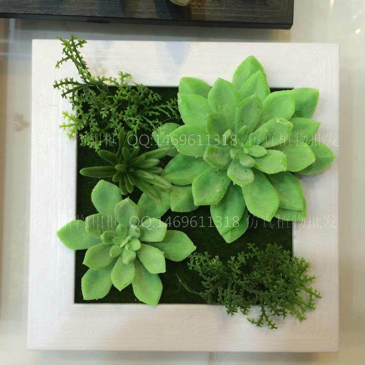 墙04款乡村面装饰框热带植4物模型木质相客厅植物热带植物壁逼真