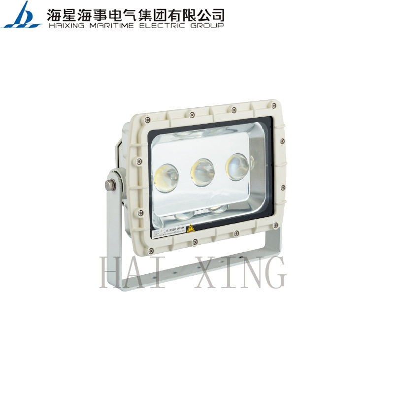 海星海事船用灯具 LED投光灯TG22-L 200W 广场大范围泛光灯IP66