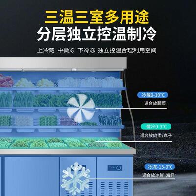 麻辣菜DED烫展示柜冷藏冷冻商用设备立保点菜串串冒风式幕柜冰鲜