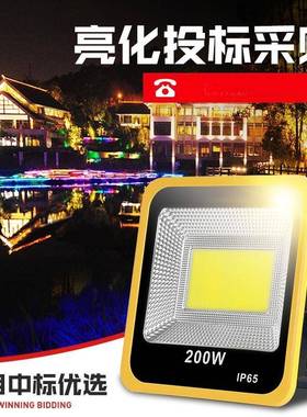 led七彩投光户外投光灯防水射树灯园林绿化景观照树灯庭院草坪灯