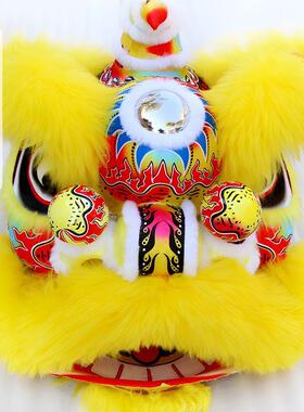 舞狮全套成人醒狮道具一整套羊毛南狮头双人表演舞狮道具