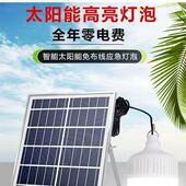 新款 led泡灯球太地阳能电摆摊家用应急移yh0022动充夜市照明灯