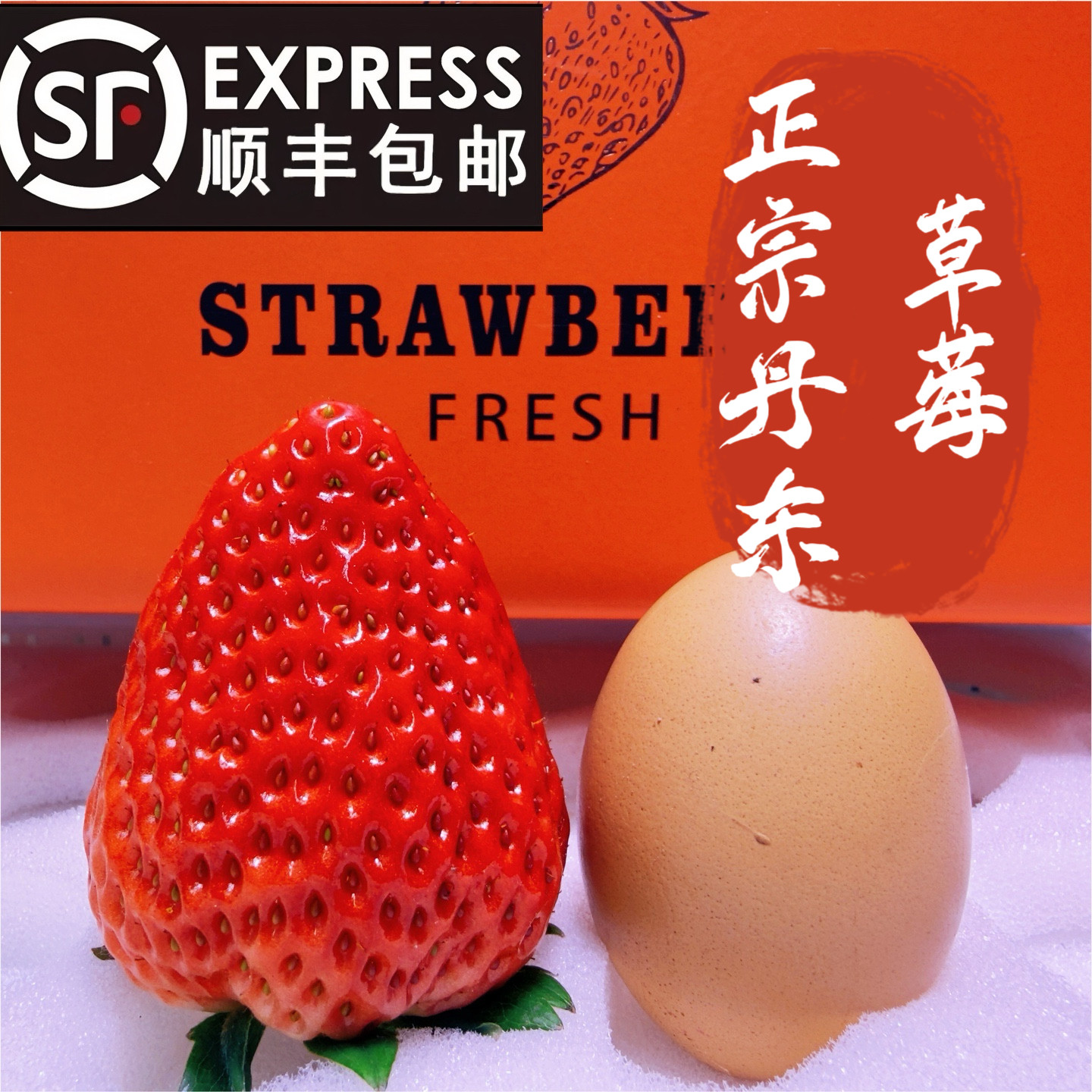 正宗丹东东港99草莓，新鲜现摘现发顺丰包邮72小时达自然熟甜草莓