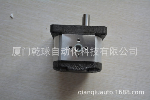 RONZIO齿轮泵02ZCG06L434D