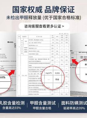 席梦m思弹簧床WPN垫济经型软硬两20c厚1.5米1.8m用乳胶椰棕家用天