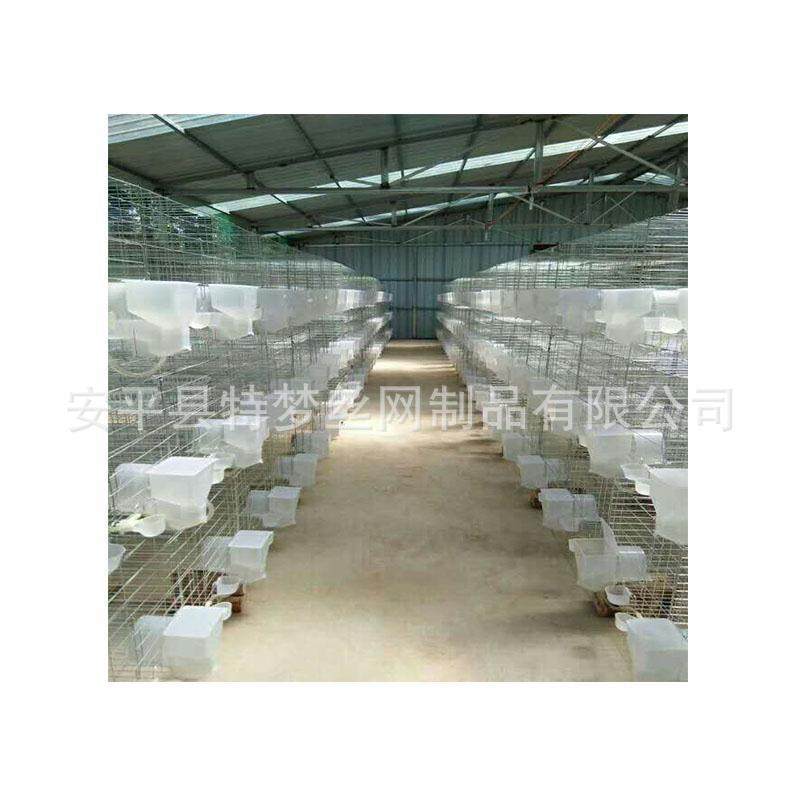 鸽鸽子笼笼鸽具广式鸽笼鸽笼FBT笼铁鸽网鸽笼全套,农机/农具/农膜,农用防护器具,淘宝优惠券,粉丝福利购,淘宝优惠卷