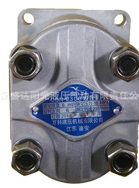 B江VKI苏淮安合肥长源CBN-齿E304高压轮泵CN-泵E306齿轮油泵动力