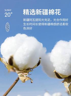 四件10156套纯2床单套205新款床笠被被罩床上用品三件棉套