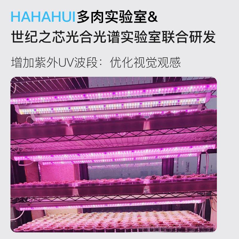 多肉植物光补灯生长灯家用色防全光谱室内仿太阳光lSJZX-DR5e徒d